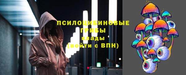 эйфоретик Осинники