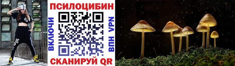 Псилоцибиновые грибы Psilocybe  Суздаль 