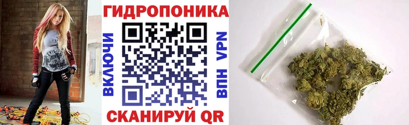 Марихуана план  даркнет сайт  Суздаль 